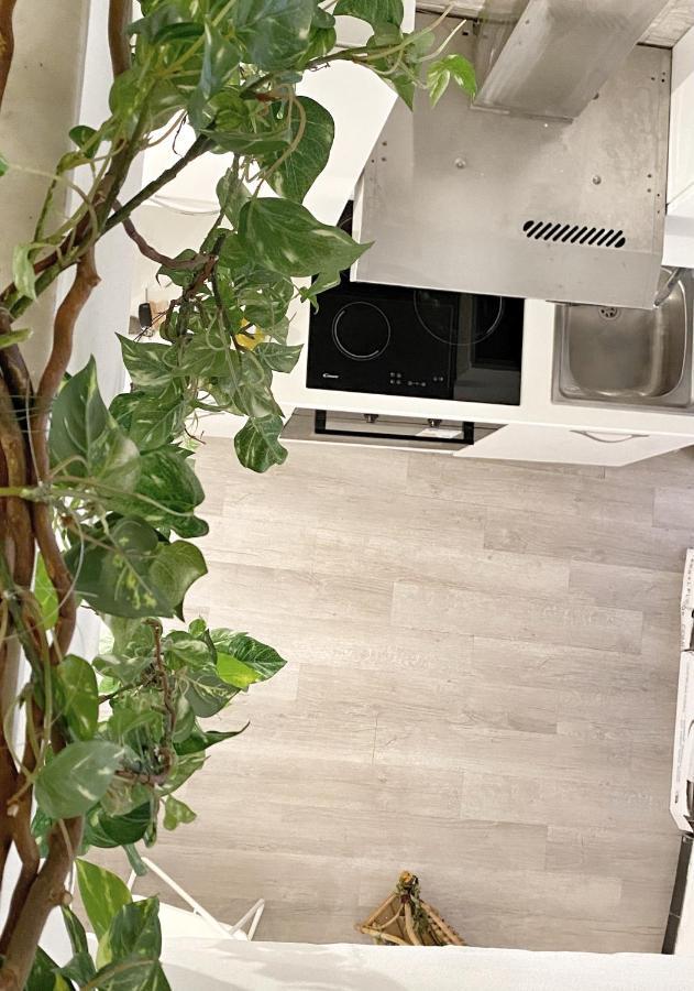 Omarea - Imperia Apartman Kültér fotó